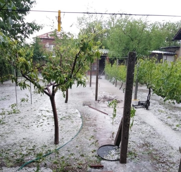 При застрахована продукция се плащат 100 от нанесените вреди при