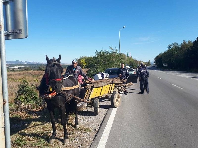 В крачка! Хванаха апаш от Врачанско да вози с каруцата си крадени вещи в Монтана