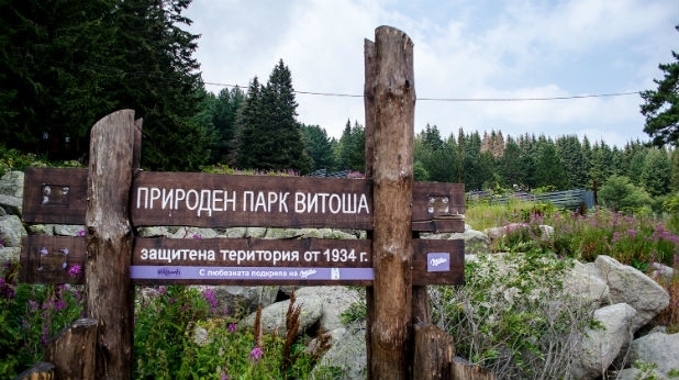 Доброволци строят безвъзмездно мостове на Витоша