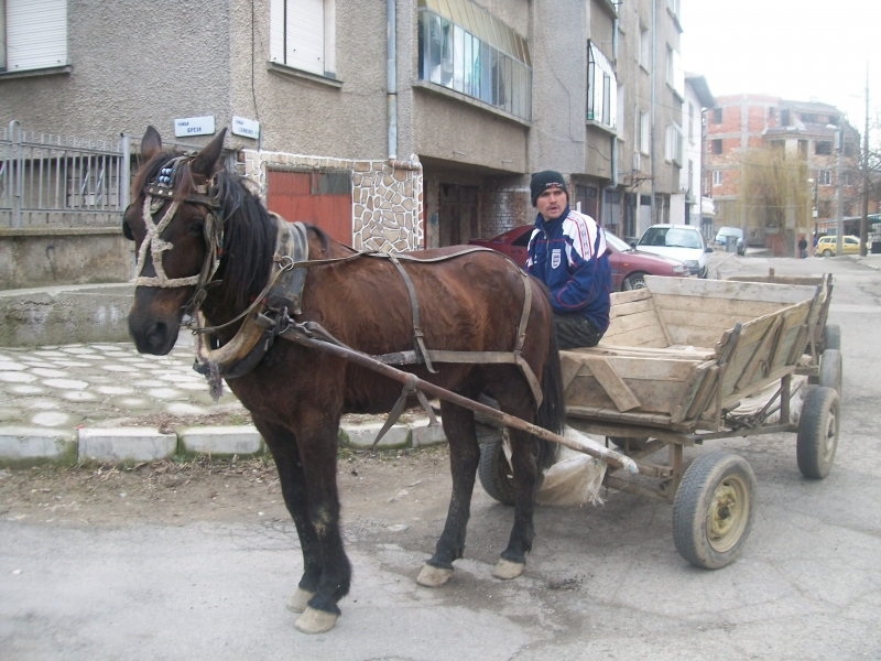 Непълнолетен хлапак е откраднал каруца от частен имот във видинско
