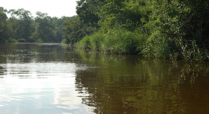 В Дунавския басейн в резултат на валежите се очакват повишения