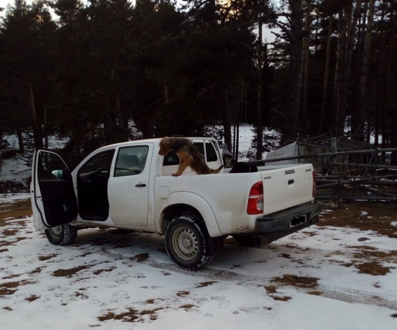 Екип на Изпълнителната агенция по горите предотврати бракониерски лов във