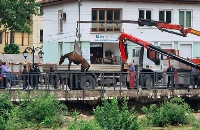 Спасиха коне от придошлите води в Тетевен, АСП ще помага на пострадалите /снимки/