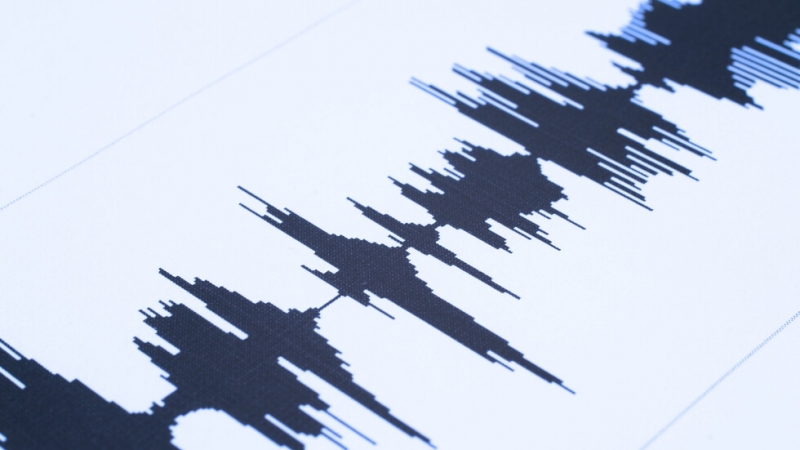 Две умерени земетресения с магнитуд 3 7 и 3 3 по Рихтер