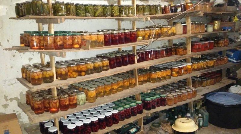 Криминално проявен и баба му обраха мазе във Враца съобщиха