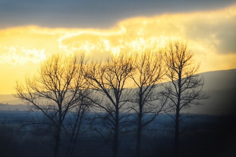 През втория ден от 2026 г  времето в България ще