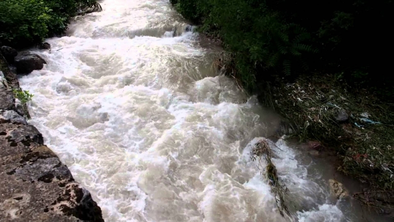 Разтревожени врачани са видели водите на река Лева да побеляват