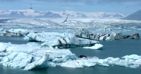 Учени от университета в Синсинати установиха че е възможно да