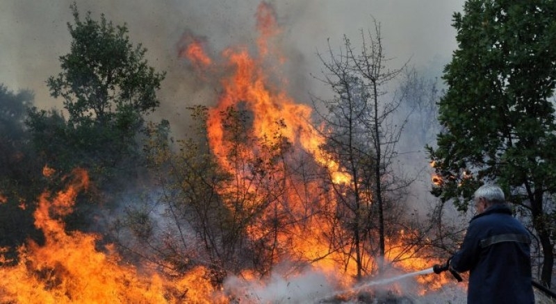 В събота екип на пожарната в Белоградчик е локализирал пожар