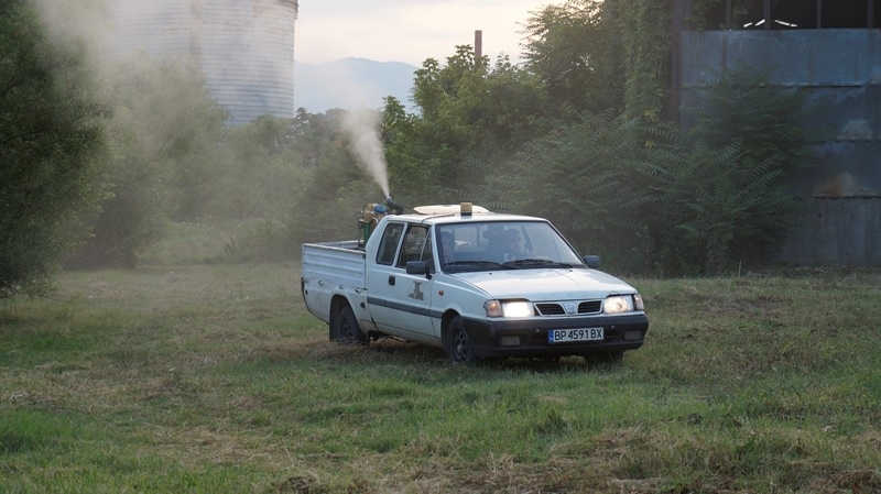 Тревните площи в Мездра са третирани срещу комари бълхи и