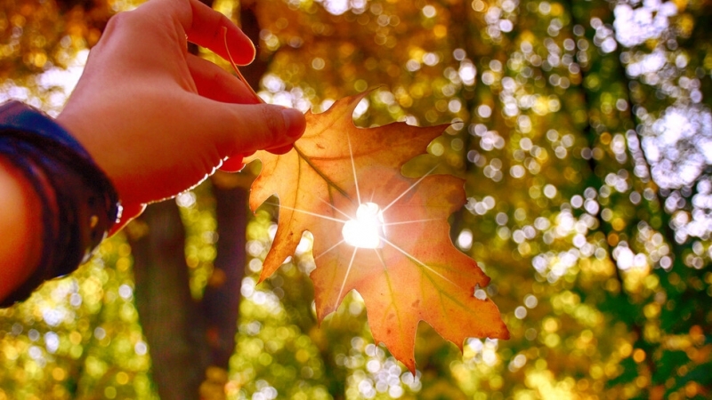 Този октомври е бил най горещият в света съобщи Европейският орган