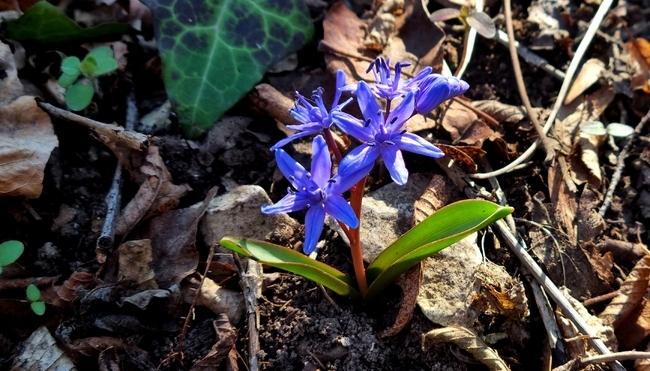 Днес над по голямата част от страната ще е предимно слънчево