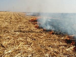 Седемнайсет сигнала за възникнали пожари в обработваеми земеделски площи са