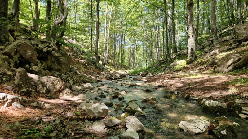 Състезание по планинско бягане У царството на трибалете ще се
