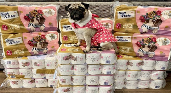 Че германците се разнежват при вида на своите кучета е