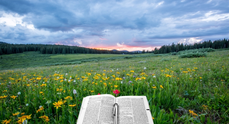 През нощта облачността ще се разкъсва и намалява и над