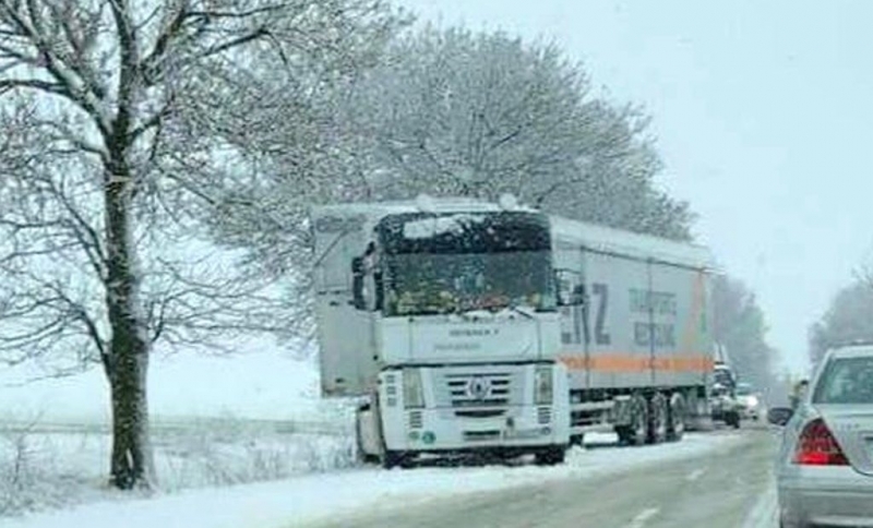 Аварирал ТИР затапи движението по главен път Е 79 между Видин