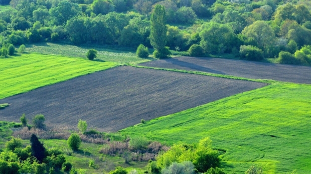 Най големият собственик на земеделска земя в България Ставен АД