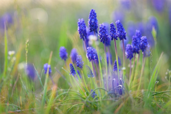 През деня валежите от север ще започнат да спират но