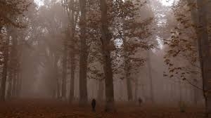 Днес до обяд на много места в равнините и низините