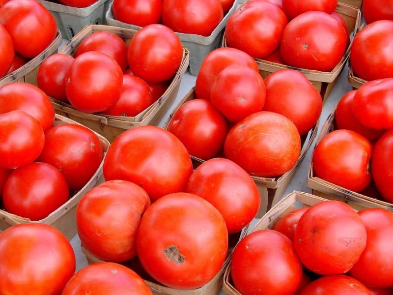 Индексът на тържищните цени ИТЦ който отразява цените на хранителните