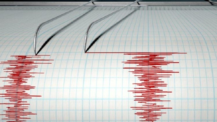 Земетресение разлюля Черна гора и Сърбия съобщи белградското радио Б92