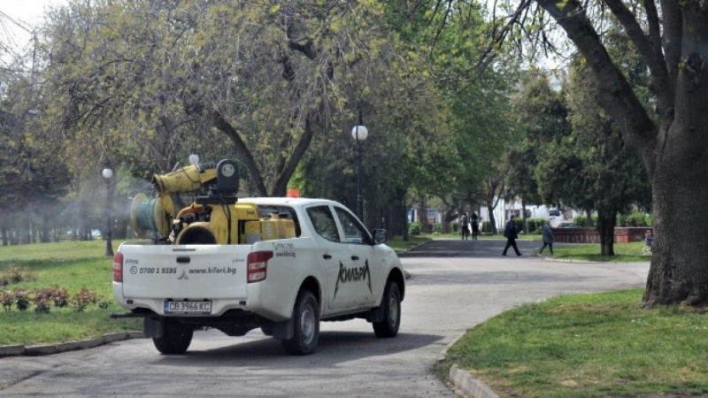 Бум на кърлежи във Видин притесни местните научи агенция BulNews Жителите