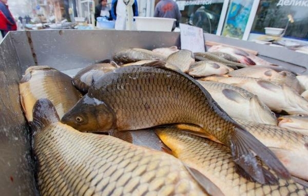 Най предпочитаната риба за никулденската трапеза – шаранът се предлага