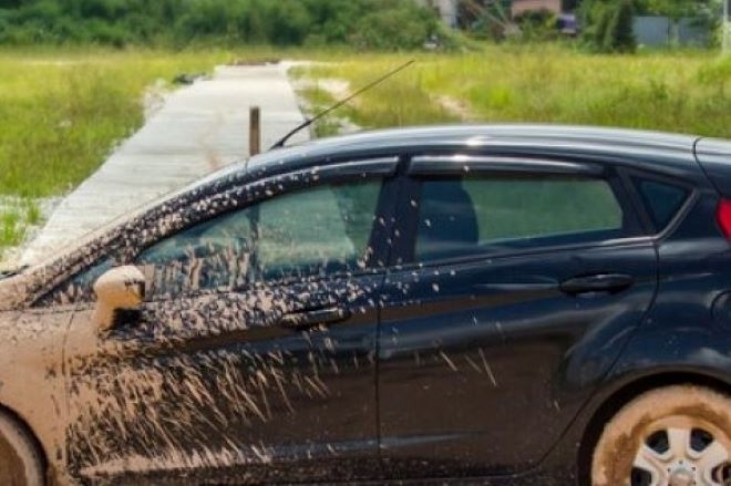 Монтанчанка пропищя от пенсионер залял колата й с фекална течност