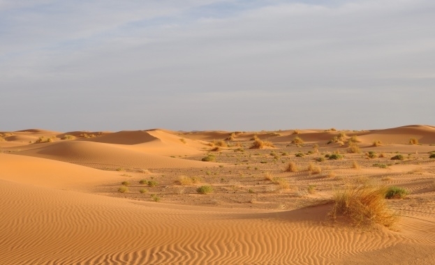 Парламентът прие на първо четене забрана за поставянето на плажни