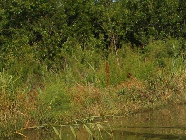 Междуведомствената експертна комисия към областния управител на Велико Търново оцени