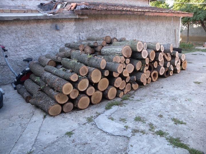 Полицаи откриха близо 10 кубика незаконни дърва в 2 къщи