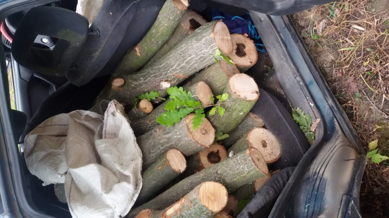 Полицаи откриха незаконни дърва в колата на мъж от врачанско