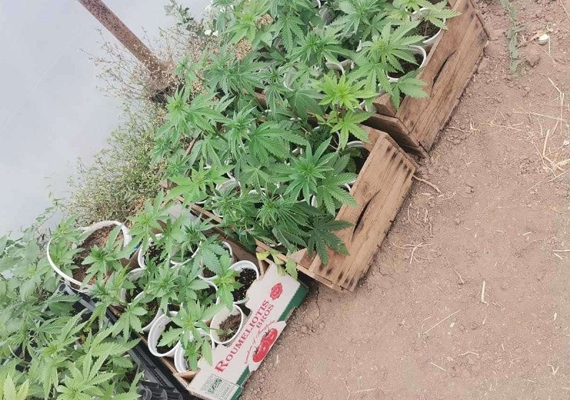 При специализирана операция на полицаи от управленията в Хасково и