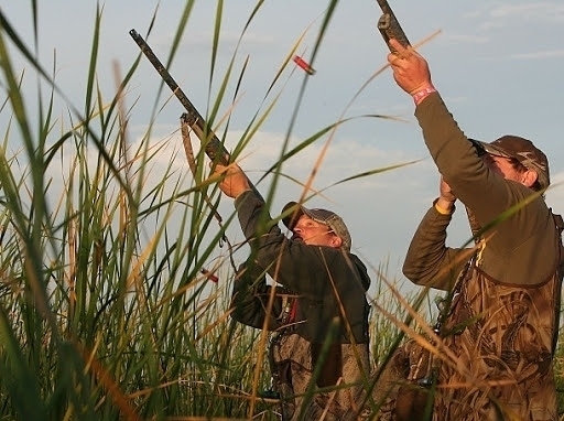 Връзка с откриването на ловен сезон 2021 2022 г за пъдпъдъци