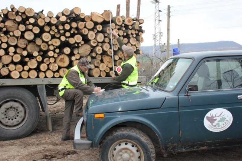Регионална дирекция по горите в Берковица е обявила конкурс за