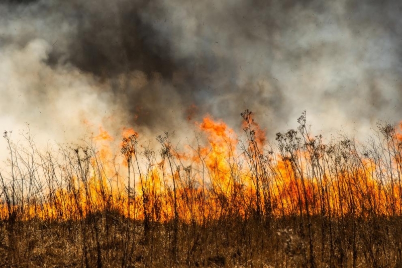 42 пожара с преки материални щети и 172 без материални щети са възникнали