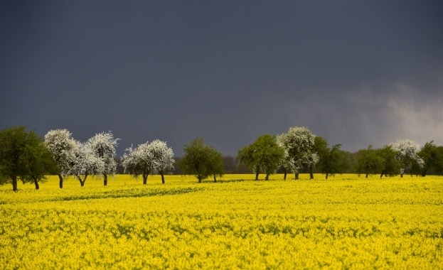 Днес ще бъде предимно слънчево В следобедните часове отново ще