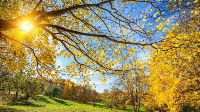 Ето какво време ни очаква в събота