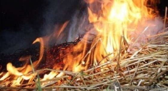 Люцерна и 2 000 бали сено изгоряха в Оходен, предадоха