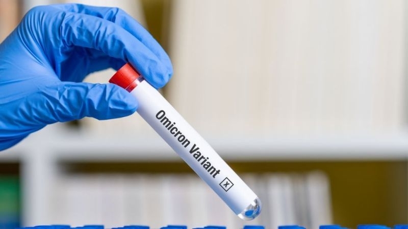 Новата мутация на коронавируса BQ 1 е засечена в България Това става ясно