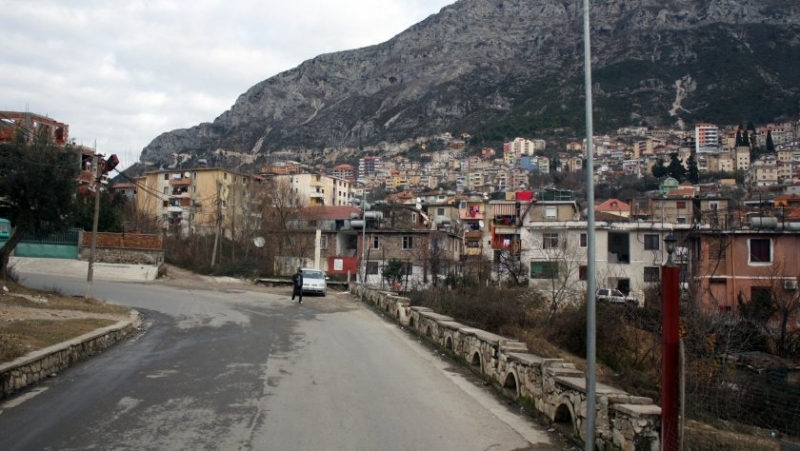 Албанските следствени органи започнаха разследване на отравянето на почти 400