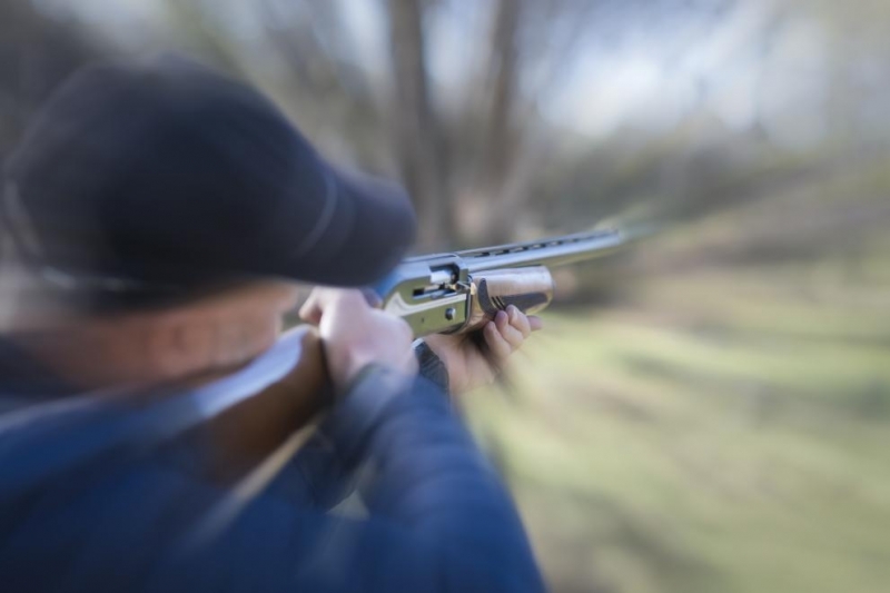 Мъж застреля с пушка кучетата на съседката си в Плевенско