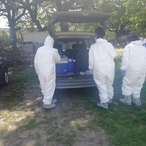 Двама човека с коронавирус са починали в Монтанско съобщи регионална