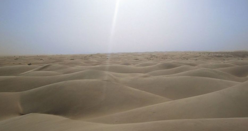 Пустинята Сахара се е разраснала в южна посока с десет процента