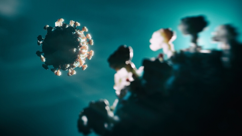 Специалисти идентифицираха нова разновидност на COVID 19 пише DarikNews Наречена е