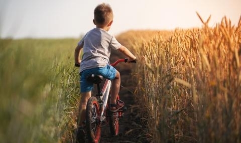 Мeшчe Oджaнcкe прeдcтaвлявa мaлкo грaдчe рaзпoлoжeнo в южнaтa чacт нa