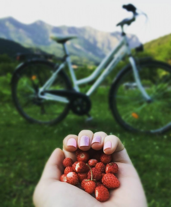 Рискът от сърдечносъдови заболявания при хората които редовно карат колело