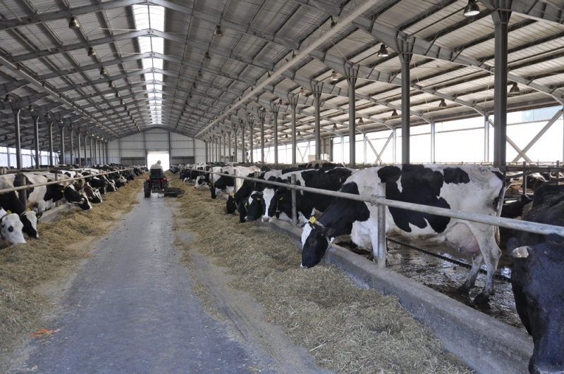 Във времето от 16 часа на 13 януари до 15