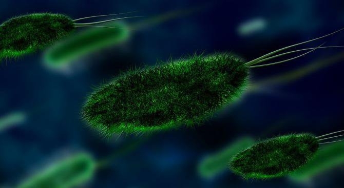 Кошмарни бактерии с необичайна резистентност към антибиотици от последния ешелон